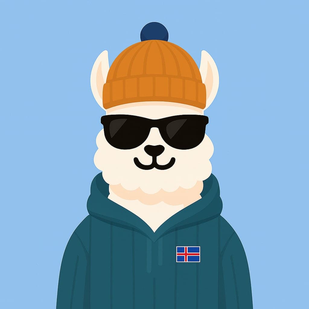 Exchange students in Iceland