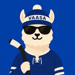 Vaasa