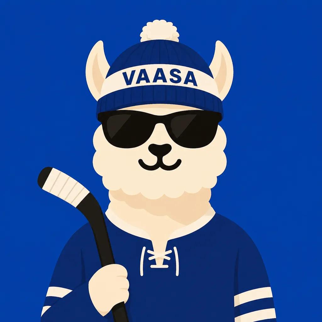 Estudiantes de intercambio en Vaasa